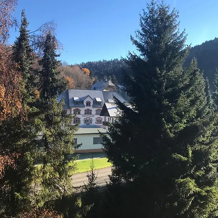 Coole Bude Schwarzwald, *