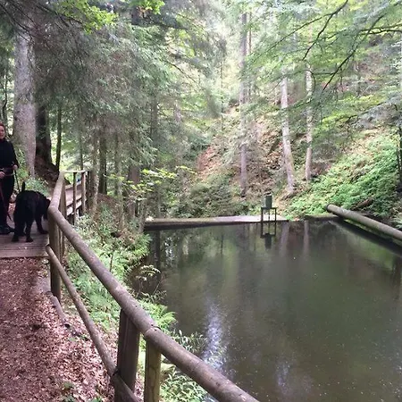Coole Bude Schwarzwald, شقة تودموس
