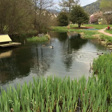 Coole Bude Schwarzwald, * تودموس