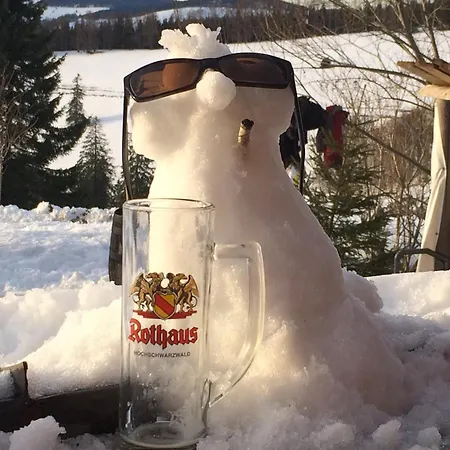 Coole Bude Schwarzwald, شقة