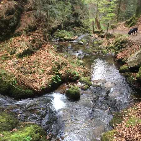 شقة Coole Bude Schwarzwald,