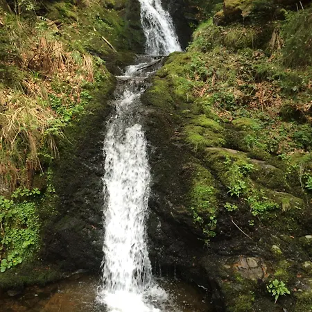 Coole Bude Schwarzwald, شقة تودموس