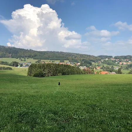 Coole Bude Schwarzwald, تودموس
