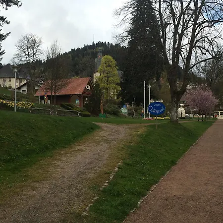 Coole Bude Schwarzwald, * تودموس