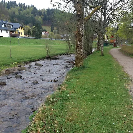 Coole Bude Schwarzwald, شقة *