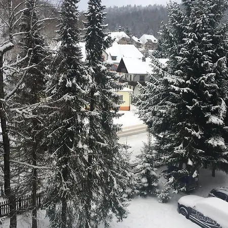 Coole Bude Schwarzwald,